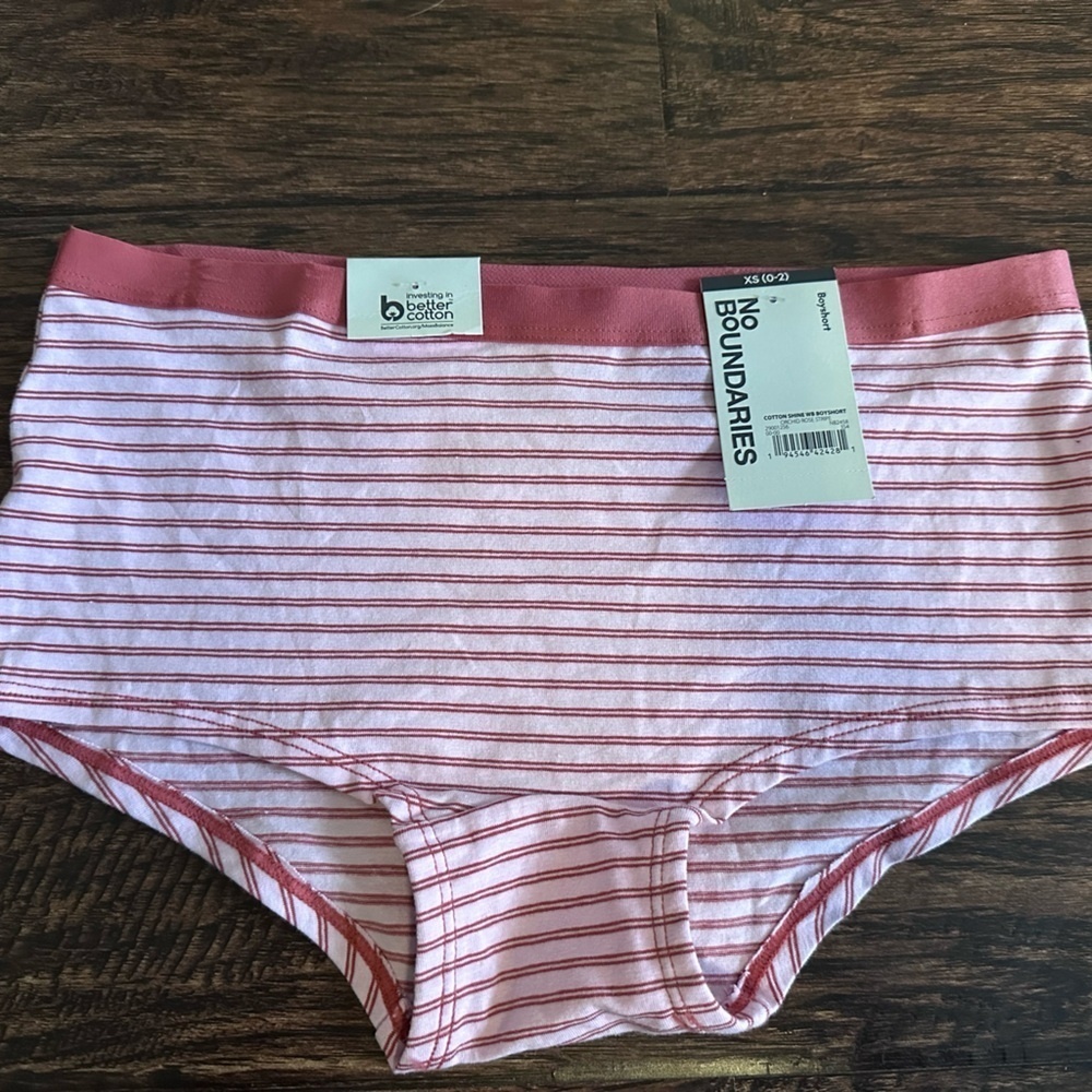 No Boundaries Pink Striped Panties